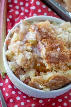 30 Crazy Good Things To Make with Rhubarb - 30 Crazy Good Things To Make with Rhubarb