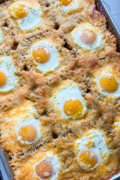 Here Are Best Dishes Made with Eggs - Here Are Best Dishes Made with Eggs