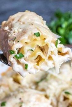 30 Heavy Cream Dinners To Mesmerize Your Taste Buds - 30 Heavy Cream Dinners To Mesmerize Your Taste Buds