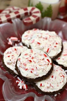 25 Best Ideas For Peppermint Cookies - 25 Best Ideas For Peppermint Cookies