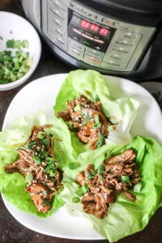 30 Best Recipes For Instant Pot Pork - 30 Best Recipes For Instant Pot Pork