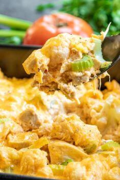 30 Savory Cream Cheese Dinners For A Crowd - 30 Savory Cream Cheese Dinners For A Crowd