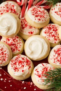 25 Best Ideas For Peppermint Cookies - 25 Best Ideas For Peppermint Cookies